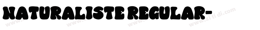 Naturaliste Regular字体转换